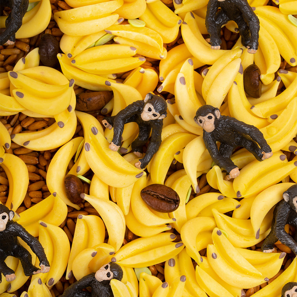 Sound Bottle Μαιμούδες