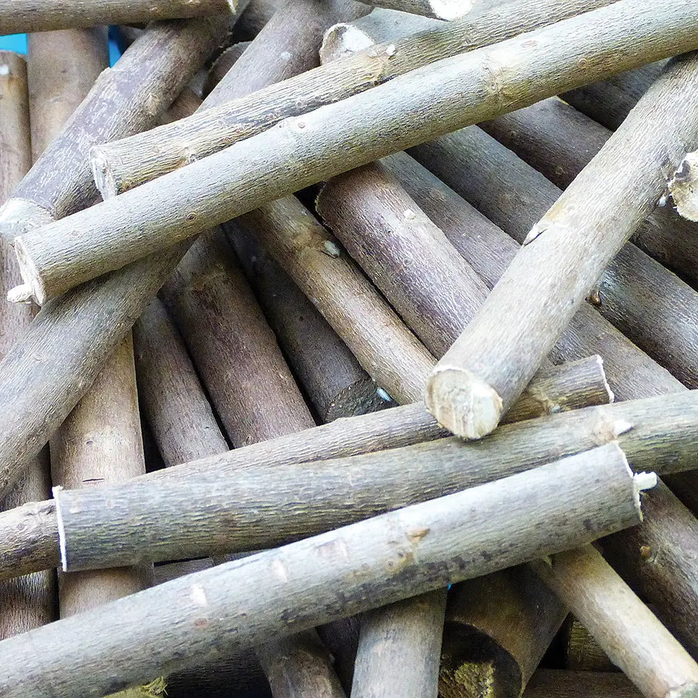 Φυσικά κλαδάκια για sensory box