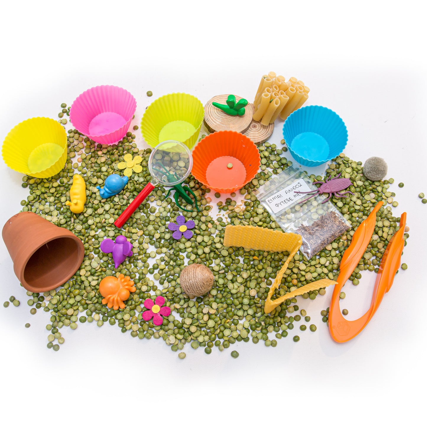 Τα 'Εντομα- Sensory tiny World