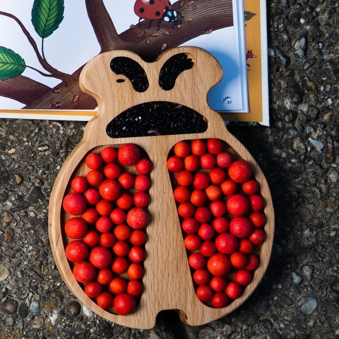 Ξύλινα πολύχρωμα μπαλάκια αρίθμησηςπ